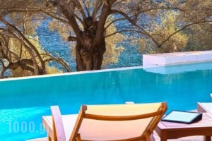 Villa Amoudia_accommodation_in_Villa_Ionian Islands_Kefalonia_Kefalonia'st Areas