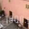 Theophano Art Hotel_best deals_Hotel_Peloponesse_Lakonia_Monemvasia