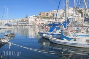 Villa Danai_accommodation_in_Villa_Cyclades Islands_Naxos_Naxos chora
