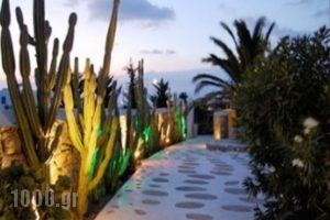 Geranium Gay Residence_holidays_in_Hotel_Cyclades Islands_Mykonos_Mykonos Chora