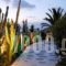 Geranium Gay Residence_holidays_in_Hotel_Cyclades Islands_Mykonos_Mykonos Chora