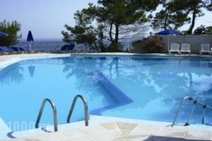 Celia Apartments_accommodation_in_Apartment_Ionian Islands_Zakinthos_Zakinthos Chora