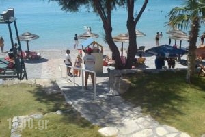 Hotel Glicorisa Beach_lowest prices_in_Hotel_Aegean Islands_Samos_Pythagorio