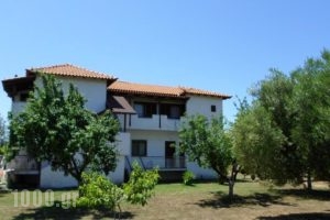 Bozelia Apartments_accommodation_in_Apartment_Macedonia_Halkidiki_Sykia
