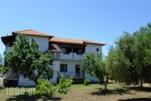 Bozelia Apartments_accommodation_in_Apartment_Macedonia_Halkidiki_Sykia
