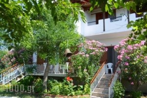 Bozelia Apartments_travel_packages_in_Macedonia_Halkidiki_Sykia