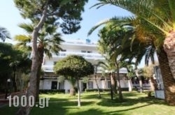 Ballos Apartments in Marathonas, Aigina, Piraeus Islands - Trizonia