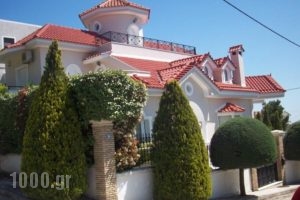 Villa Argyro_holidays_in_Villa_Central Greece_Attica_Rafina