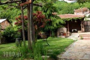 Archontiko Athina_holidays_in_Hotel_Macedonia_Kozani_Siatista