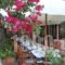 Tropicana_lowest prices_in_Hotel_Macedonia_Pieria_Paralia Katerinis