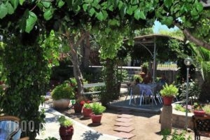 Christina'S Garden_best prices_in_Hotel_Aegean Islands_Lesvos_Petra