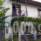 Mirsini Apartments_travel_packages_in___