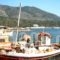 Argo_holidays_in_Hotel_Peloponesse_Korinthia_Korfos