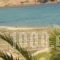 Ftelia View_best deals_Hotel_Cyclades Islands_Mykonos_Ornos