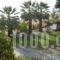 Pension Karvounoskala_travel_packages_in_Macedonia_Halkidiki_Chalkidiki Area