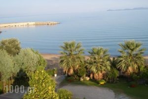 Pension Karvounoskala_lowest prices_in_Hotel_Macedonia_Halkidiki_Chalkidiki Area