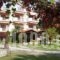 Pension Karvounoskala_accommodation_in_Hotel_Macedonia_Halkidiki_Chalkidiki Area