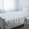 Avgerou Studios and Apartments_best deals_Apartment_Macedonia_Halkidiki_Poligyros