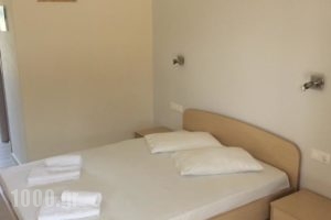 Elena Rooms_accommodation_in_Room_Crete_Rethymnon_Plakias