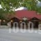 Guesthouse Kastania_accommodation_in_Hotel_Peloponesse_Arcadia_Levidi