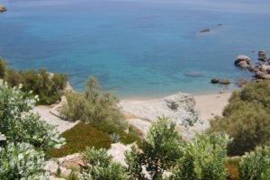 Mykonos Ea_best deals_Hotel_Cyclades Islands_Mykonos_Agios Ioannis