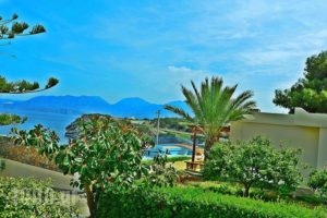 Poppy Villas_holidays_in_Villa_Crete_Lasithi_Aghios Nikolaos