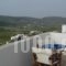 Marathi Apartments_holidays_in_Apartment_Cyclades Islands_Paros_Paros Chora