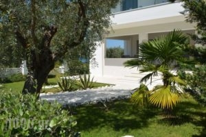 Mythodea_best deals_Hotel_Aegean Islands_Thasos_Thasos Chora