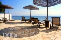 Galini Beach Studios and Penthouse in Kolympari, Chania, Crete