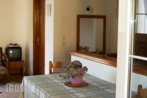 Apartments Mary_best deals_Apartment_Ionian Islands_Corfu_Corfu Chora