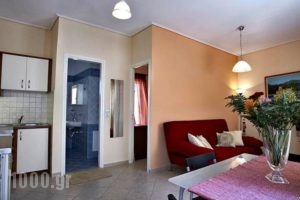 Sunday Apartments_holidays_in_Apartment_Peloponesse_Argolida_Nafplio