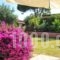 Artemis Pansion_best deals_Hotel_Ionian Islands_Zakinthos_Laganas