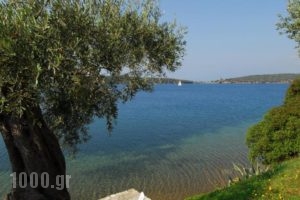 Saint Andrews Bay_travel_packages_in_Thessaly_Magnesia_Pinakates