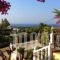 Stella View Studios_best prices_in_Hotel_Dodekanessos Islands_Rhodes_Pefki