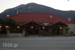 Guesthouse Kastania_best deals_Hotel_Peloponesse_Arcadia_Levidi