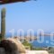 Mykonos Ea_best prices_in_Hotel_Cyclades Islands_Mykonos_Agios Ioannis