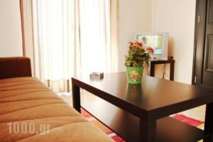 Karmela Day Rent Apartments_best deals_Apartment_Piraeus Islands - Trizonia_Aigina_Aigina Rest Areas