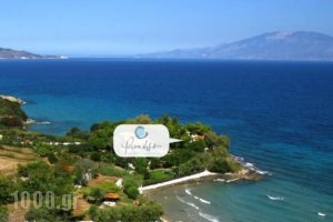 Paradisso Beach Villas_lowest prices_in_Villa_Ionian Islands_Zakinthos_Alykes