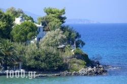 Paradisso Beach Villas in Alykes, Zakinthos, Ionian Islands