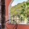 Evergreen Apartments_best deals_Apartment_Ionian Islands_Corfu_Agios Gordios