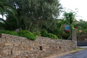 Studios Villa Lontorfou_best deals_Villa_Cyclades Islands_Syros_Syrosst Areas