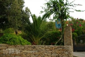 Studios Villa Lontorfou_best prices_in_Villa_Cyclades Islands_Syros_Syrosst Areas