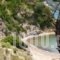 Celia Apartments_best deals_Apartment_Ionian Islands_Zakinthos_Zakinthos Chora