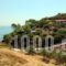 Celia Apartments_best prices_in_Apartment_Ionian Islands_Zakinthos_Zakinthos Chora