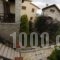 Abelos Stone Houses_best prices_in_Hotel_Peloponesse_Arcadia_Astros