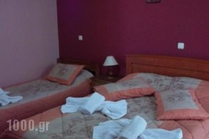 Epikoureios Apollon_best prices_in_Hotel_Peloponesse_Ilia_Andritsena