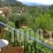 Kefalas Apartments_holidays_in_Apartment_Epirus_Preveza_Sarakino