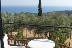 Apsedes Studios in Kefalonia Rest Areas, Kefalonia, Ionian Islands