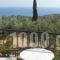 Apsedes Studios_accommodation_in_Hotel_Ionian Islands_Kefalonia_Kefalonia'st Areas