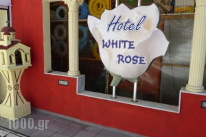 Hotel White Rose Beach_best prices_in_Hotel_Macedonia_Pieria_Olympiaki Akti